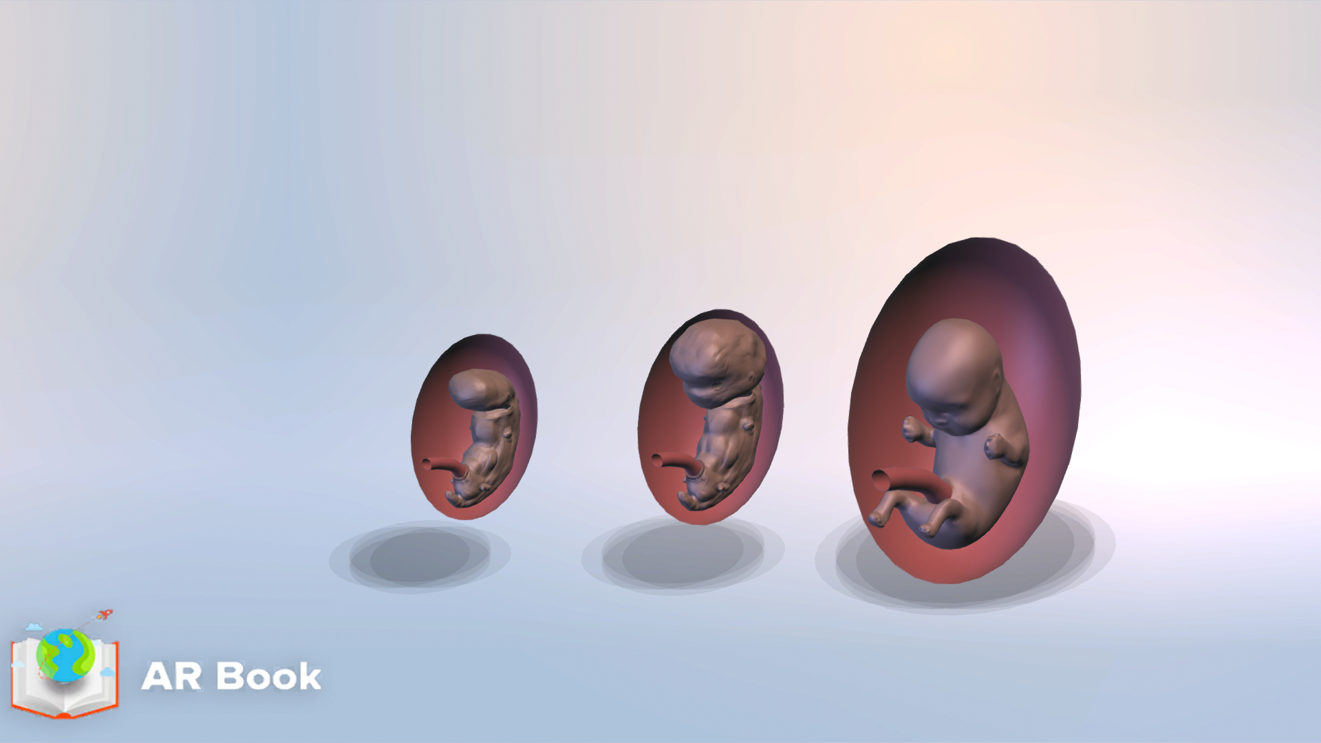 Human embryonic development AR/3D | Science | Grade 8